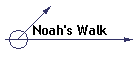 Noah's Walk